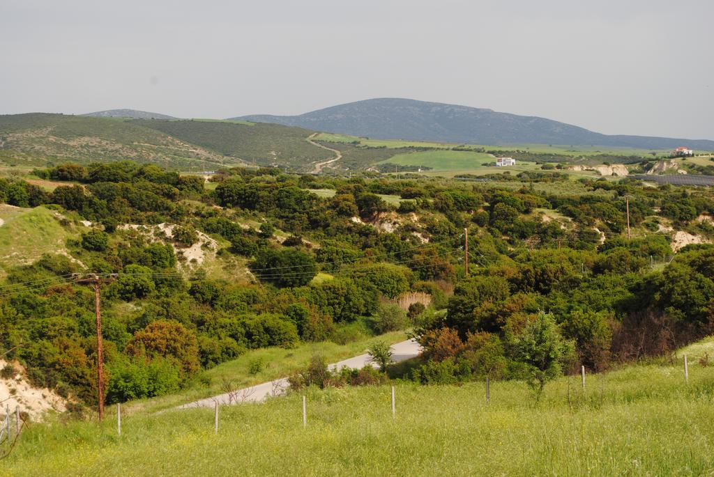 Daniil'S Luxury Villa And Spa Agios Antonios  Exterior foto